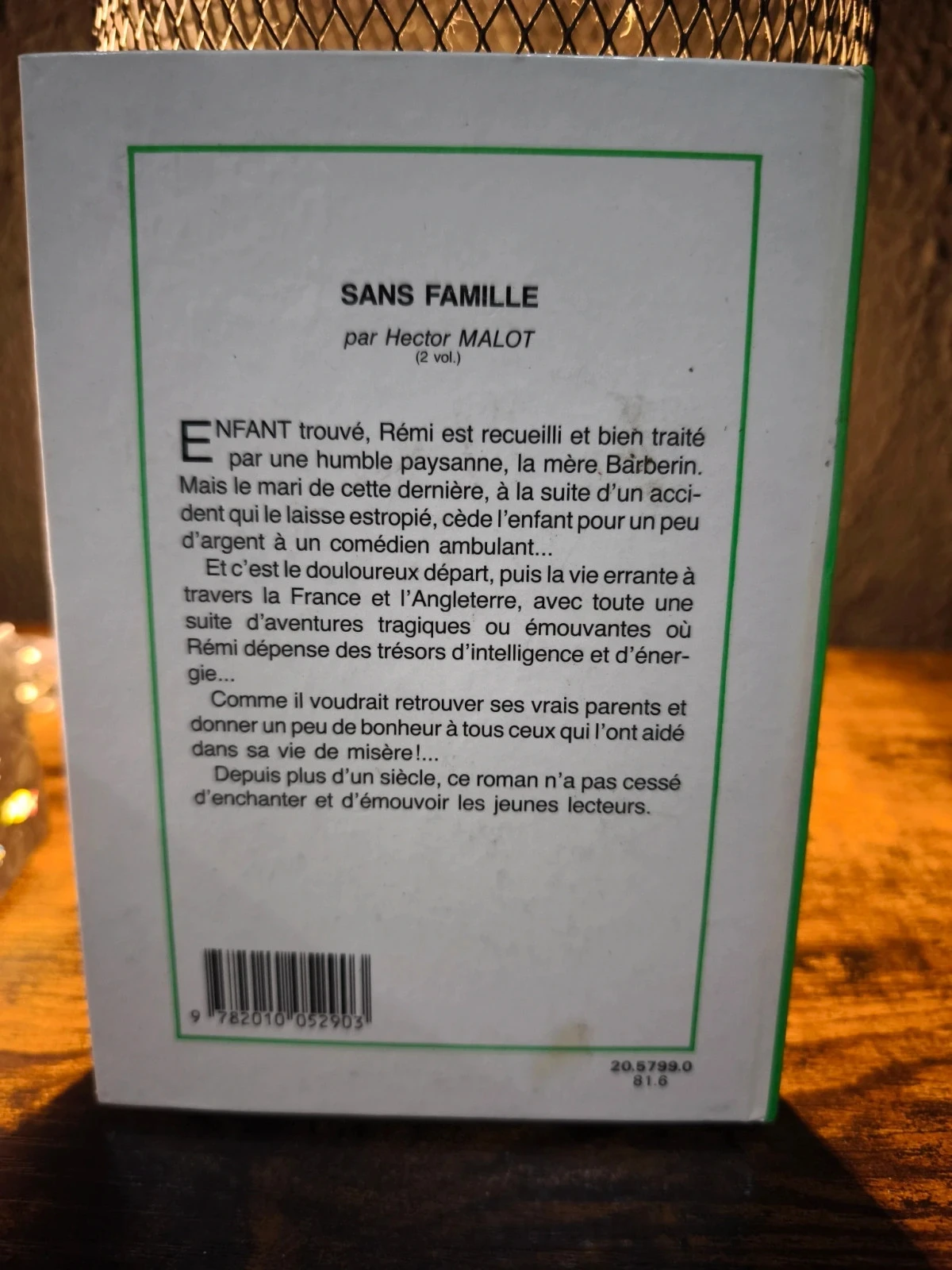 Sans famille tôme 2 – photo 2